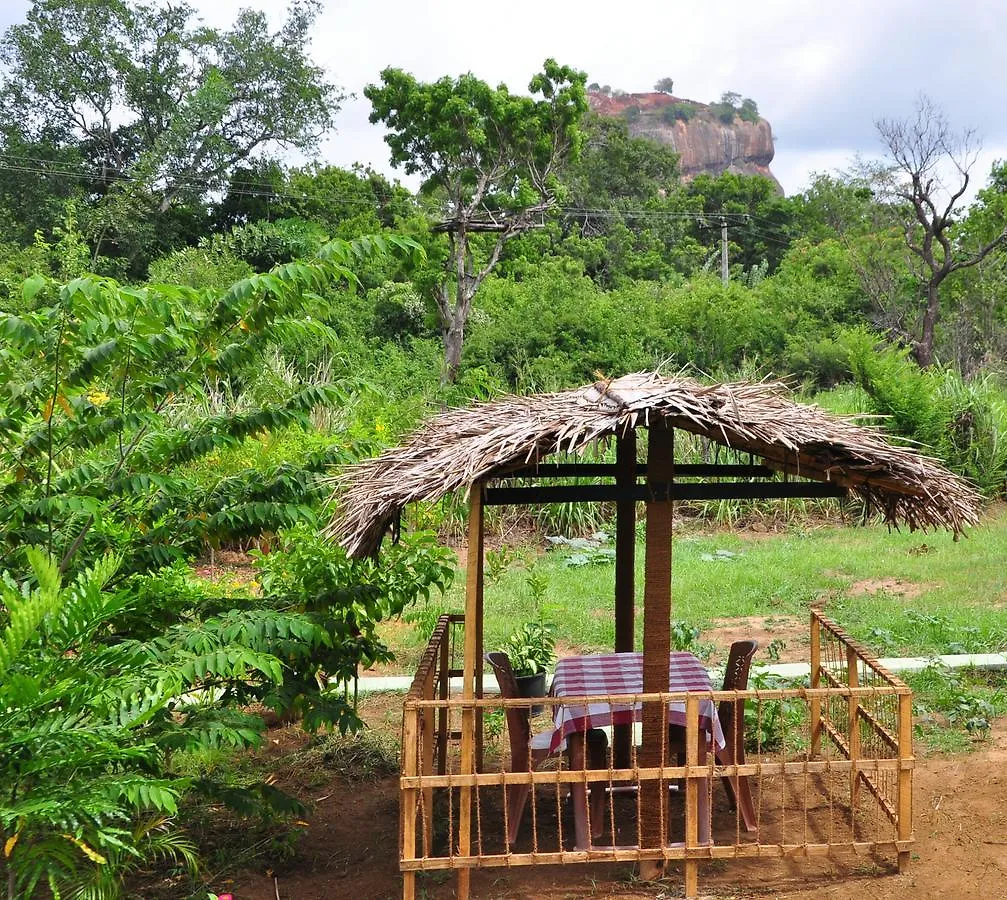 Sigiriya Amenity Home Stay 0*,  Шри-Ланка