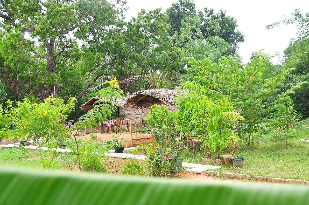 Sigiriya Amenity Home Stay