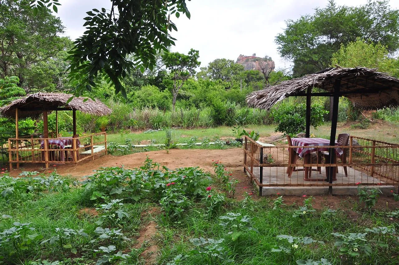 Sigiriya Amenity Home Stay